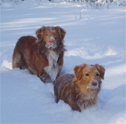 Bild: Leopold och Lexie feb 05